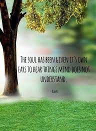 Pin On Quotes