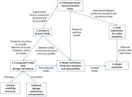 Issue, avoiding site disturbance within the critical root zone is key to maintaining tree vigor. Modelling The Impacts Of Pests And Diseases On Agricultural Systems Sciencedirect