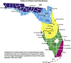 Plant Hardiness Map Of Florida Florida Plants Florida Gardening Map Of Florida