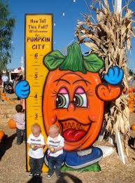 Pin On Pumpkin City S Pumpkin Farm