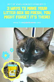 3 Ways To Make Your Litter Box So Fresh You Might Forget It S There Cats Smelling Cat Urine Smells Cat Pee Smell