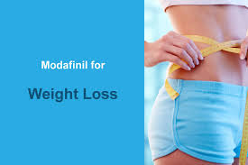 provigil modafinil weight loss