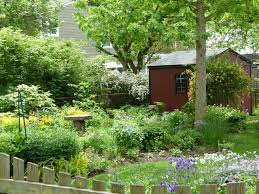 Native to the northeastern united states and canada, bowman's root (gillenia trifoliata) prefers an open area with moist to dry soil that receives. How To Start A Native Plant Garden Virginia Native Plant Society