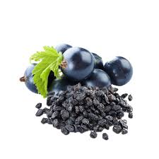 When we came back i prefer to make fruit puree myself, because then i can control the thickness and sweetness.we already started preparing ourselves to go to quebec to stock up on black currants during the summer. Dried Black Currant Dried Black Currant Moolihai Com