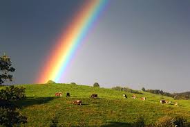 Foto Natur Regenbogen Grunland Finde und downloade kostenlose grafiken für regenbogen. foto natur regenbogen grunland