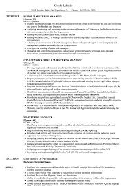Market Risk Manager Resume Samples Velvet Jobs