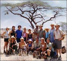 Pin On Survivor Fever One Day