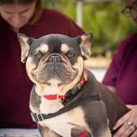 Durango Clinic — The Street Dog Coalition