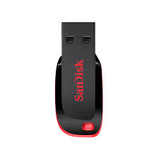 Sandisk Cruzer Blade Usb Flash Drive