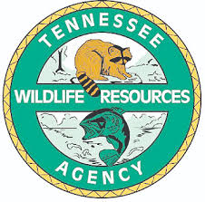 We did not find results for: Academy Sports Outdoors Sponsors Tennessee S 2021 Free Fishing Day Lexington Progress