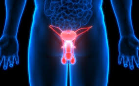 Vasovasostomía, cuando solfa syllable vasectomía es nonreversible. Como Se Realiza La Vasectomia Tu Canal De Salud