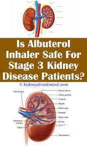 Kidney Disease Diet Health Kidney Disease Kidney Disease Symptoms Polycystic Kidney Disease