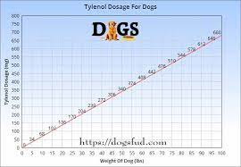Because aspirin, advil and tylenol (acetomimophen) have not been approved for veterinary use, there have not been studies conducted to establish proper dosages. Can Dogs Have Tylenol Is It Is Safe To Give Tylenol For Dogs