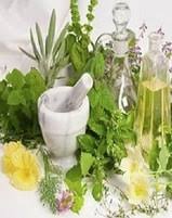 Become a registered herbalist and member of the american herbalists guild. Online Master Herbaist Training Academy Of Natural Health Sciences