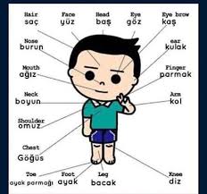 Seda Adli Kullanicinin Eren Ingilizce Panosundaki Pin Ogrenme Egitim Korece