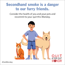 C is for cat and cancer: Protect Your Pets From Second Hand Smoke