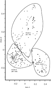 Image result for Whitfieldia thollonii