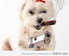 You both like the puppies with guns calendar. 37 Dogs With Guns Ideas Dogs Funny Animals Military Working Dogs