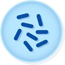 Innocua was not found to be generally infectious. Microbiologics 0814e2 Crm Listeria Innocua Derived From Atcc 33090 Epower Crm