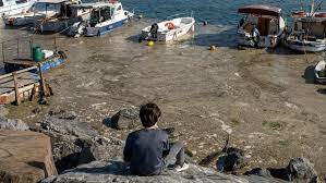 'sea snot' outbreak off turkish coast rings environmental alarm. Fspfqsi8k4vbmm