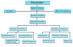 Organization Chart Financial Advisor C Am Creation Co Ltd