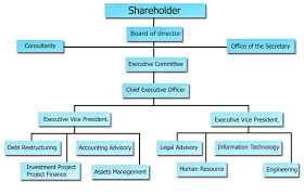 organization chart financial advisor c am creation co ltd