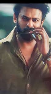 images?q=tbn:ANd9GcRw4CqfwOPom9Gt61m2A7G