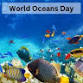Knee High Naturalist Program at Letchworth World's Ocean Day