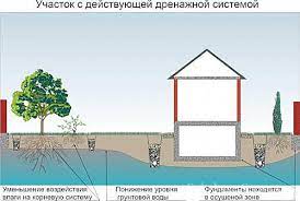 Дачный туалет с близкими грунтовыми водами