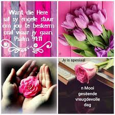 Pin By Jane Botes On Afrikaans 2 Goeie More Good Morning Wishes Special Quotes