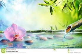 Zen Garden Orchid In Japanese Fountain With Rocks And Bamboo Sponsored Advertisement Sponsored Garden R Zen Garden Relaxing Music Meditation Music