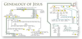 Jesus Family Tree Seeing Gods Faithfulness In The