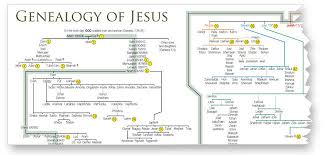 Jesus Family Tree Seeing Gods Faithfulness In The