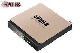 gold spider