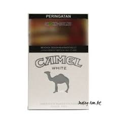 If you don't collective nouns for camels are a herd of camels, a caravan of camels, a train of camels, or a flock of camels. Camel Activate Purple Mint Smoking Room
