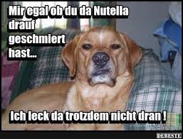 Pin Auf Lustige Bilder