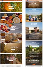 نتیجه جستجوی لغت [newsletters] در گوگل