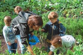 Dein platz zum ankommen, durchatmen und seele baumeln lassen…. Das Kleingartenwesen Landesverband Berlin Der Gartenfreunde E V