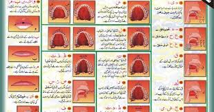 Tajweed Rules In Urdu Makhraj Of All Arabic Letters Pdf Image Online Online Quran Reading Learn Quran Tajweed Quran