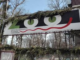 Grădina zoologică din chișinău a fost înființată la 9 mai 1978 în sudul chișinăului, nu departe de grădina botanică. O VizitÄ La GrÄdina ZoologicÄ Din Targu Mures Autoboca Blog