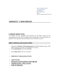 resume for axis bank