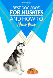 5 Best Dog Food For Huskies 2017 What To Feed Huskies For