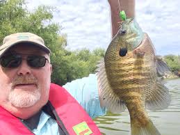 Fishing report at Bartlett lake with topwater bite