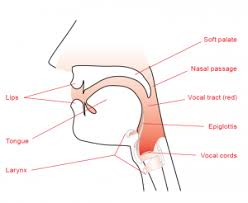 Description And Sound Of Sound Colour Cvt Research Site