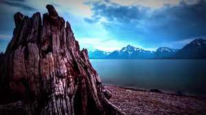 Maybe you would like to learn more about one of these? De Ce Mai Plangi Cand Sunt Aici Cu Tine Chords Chordify