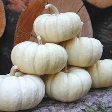 Five little pumpkins (harper growing tree). Pin On Products
