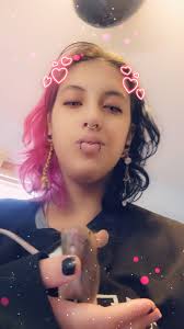 Blue and White Decor Inspiration