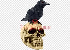 Raven Software Png Images Pngwing