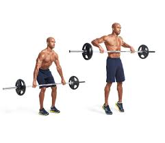 the 30 best shoulder workout exercises of all time