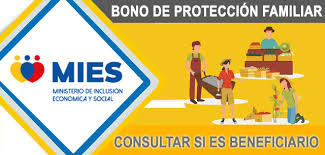 El gobierno ecuatoriano ,conjuntamente con el organismos a cargo mies llegara a desembolsar una fuerte cantidad de dinero,para hacer el pago del bono de. Consultar Bono De Emergencia Contingencia Por Cedula Ecuador 2021